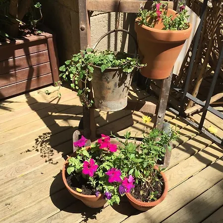 Bcn Home Guest House-3